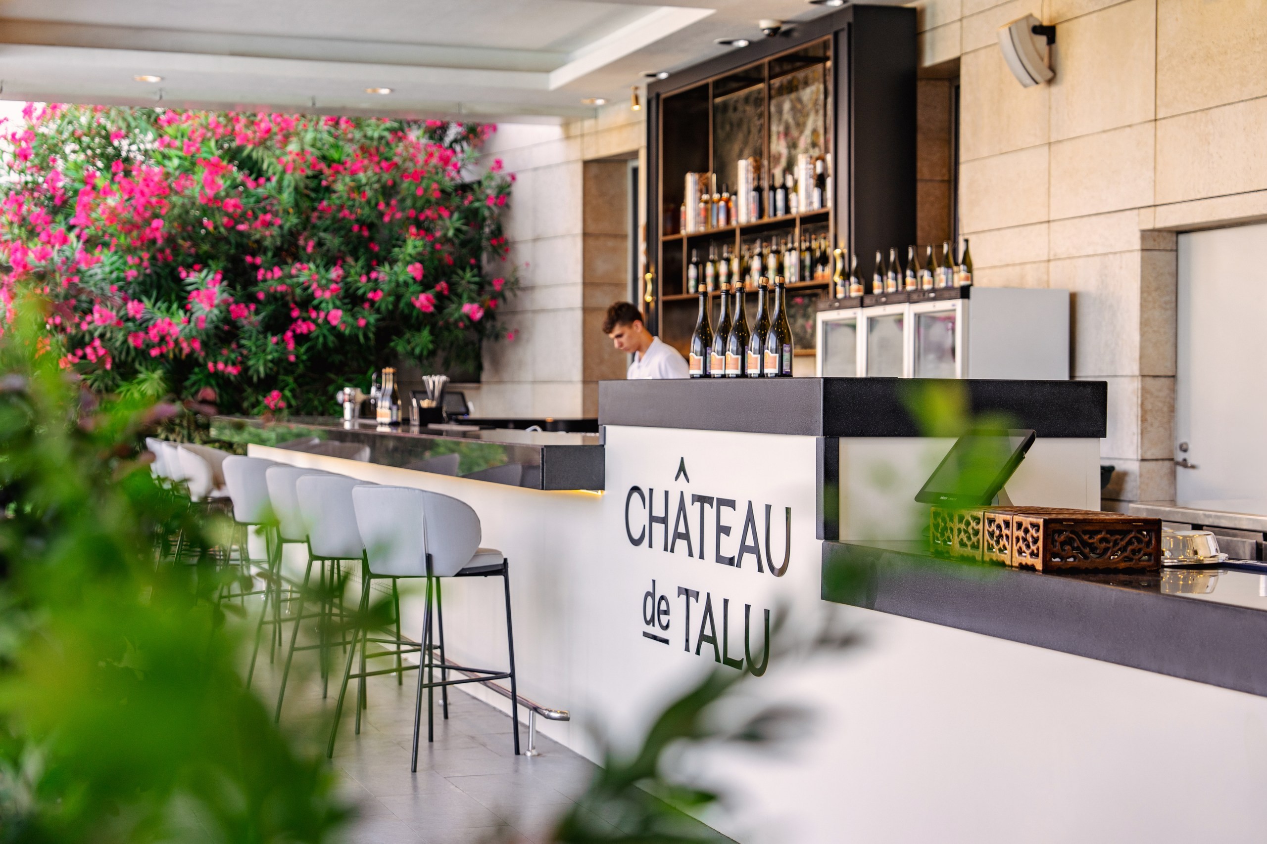 Pool Bar Chateau de Talu